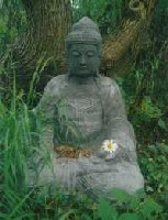 Buda en el bosque