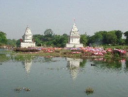 Templos blancos - India